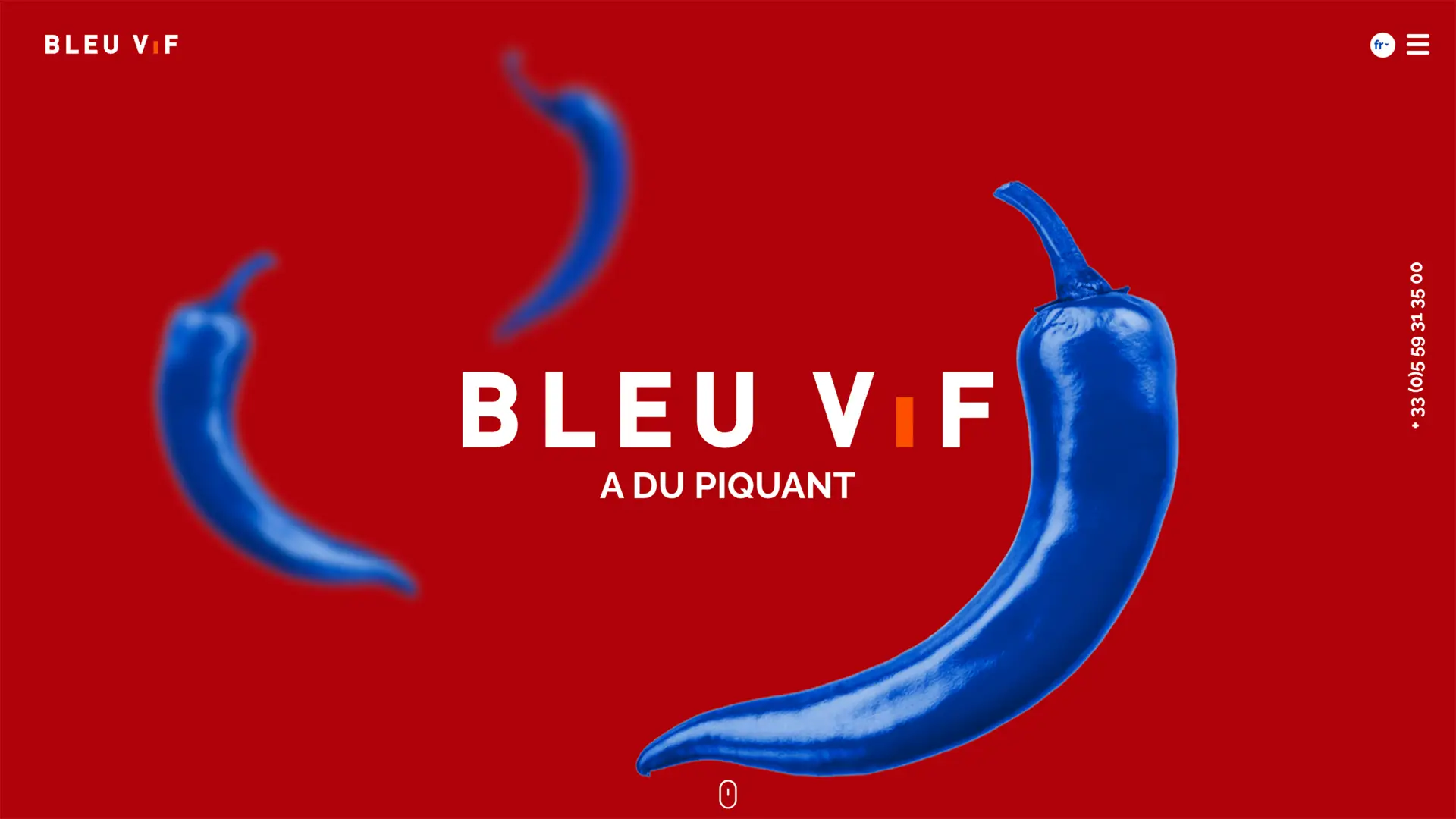 Fond d'écran rouge de la page d'accueil du site web de l'agence Bleu Vif avec des piments bleus