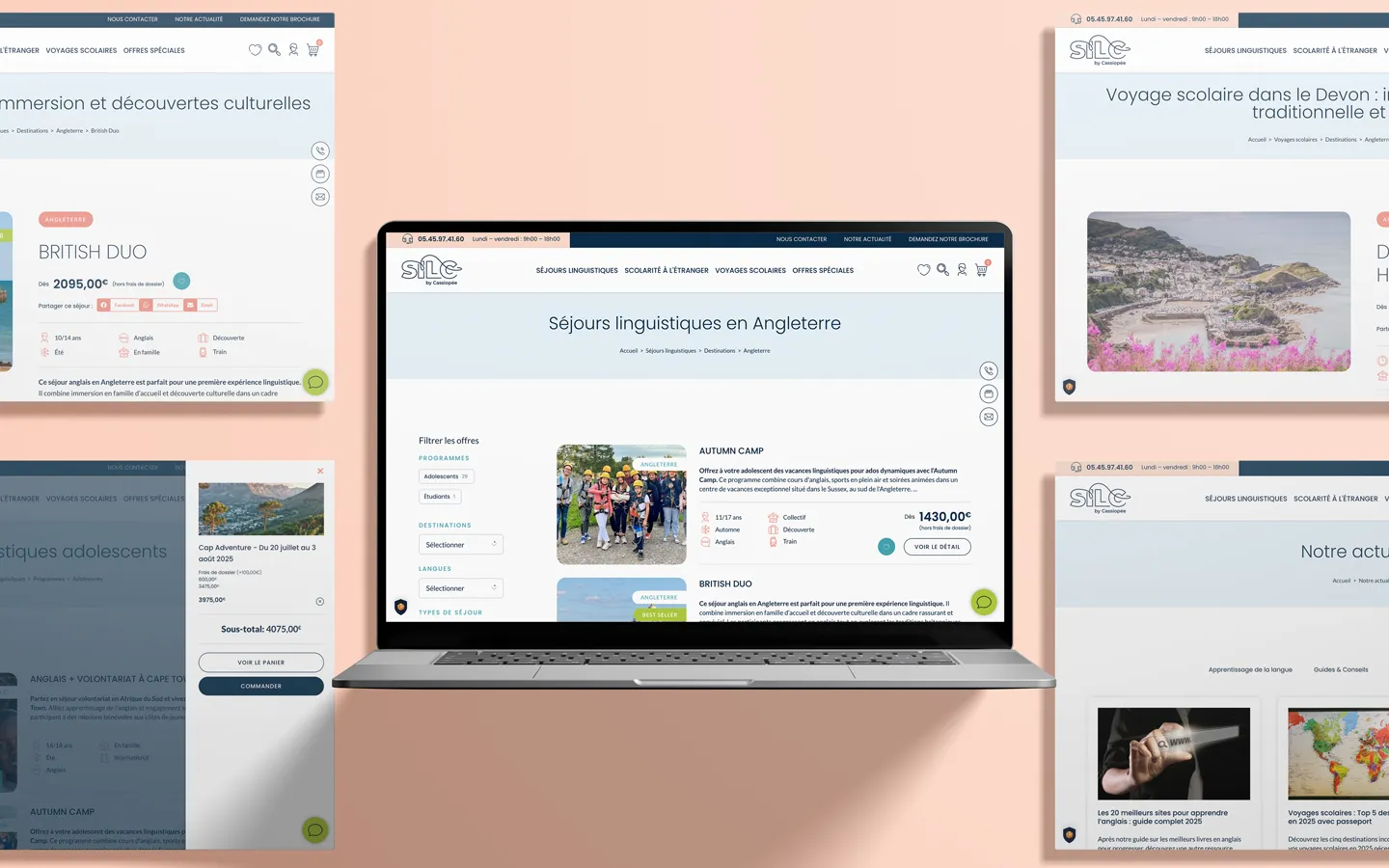 Plusieurs écrans du site Silc